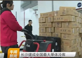 杭州叉車成為中國(guó)最大單體冷庫(kù)搬運(yùn)主力軍！