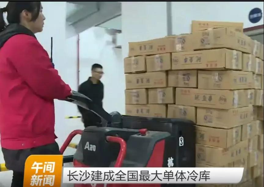 杭州叉車成為中國最大單體冷庫搬運主力軍！
